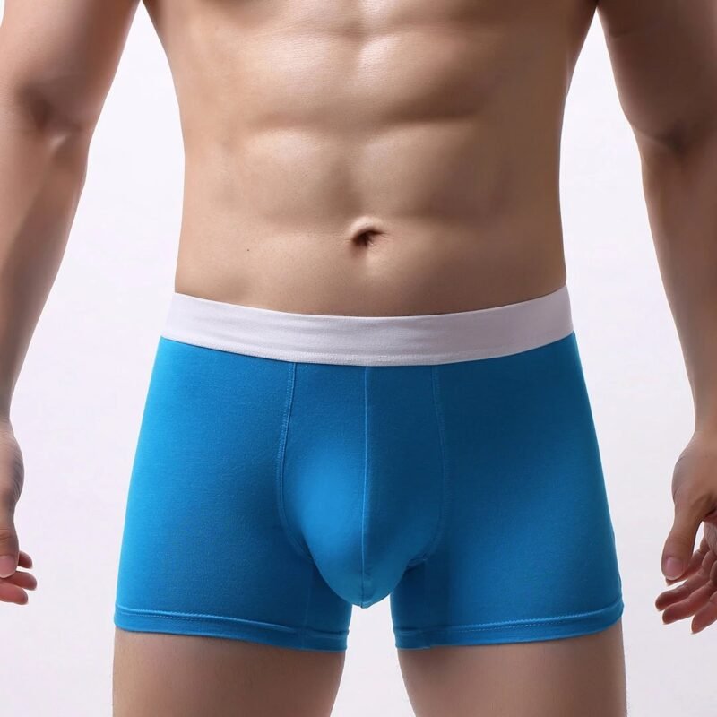 Men's Modal Hit Color Boxer Briefs