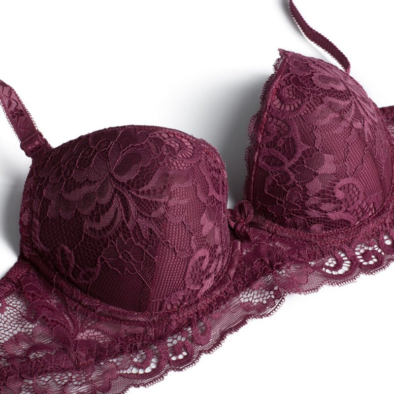 Lace Embroidered Lightly Lined Deep Plunge Bra Set - Image 2