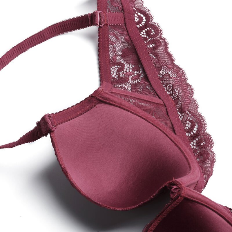 Lace Embroidered Lightly Lined Deep Plunge Bra Set - Image 3