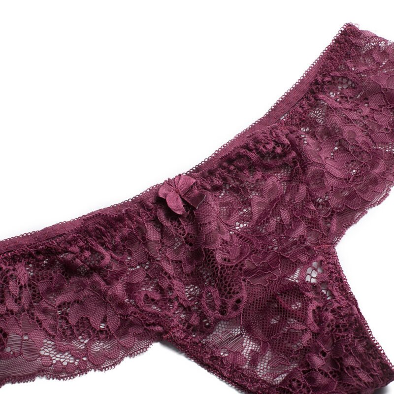 Lace Embroidered Lightly Lined Deep Plunge Bra Set - Image 5