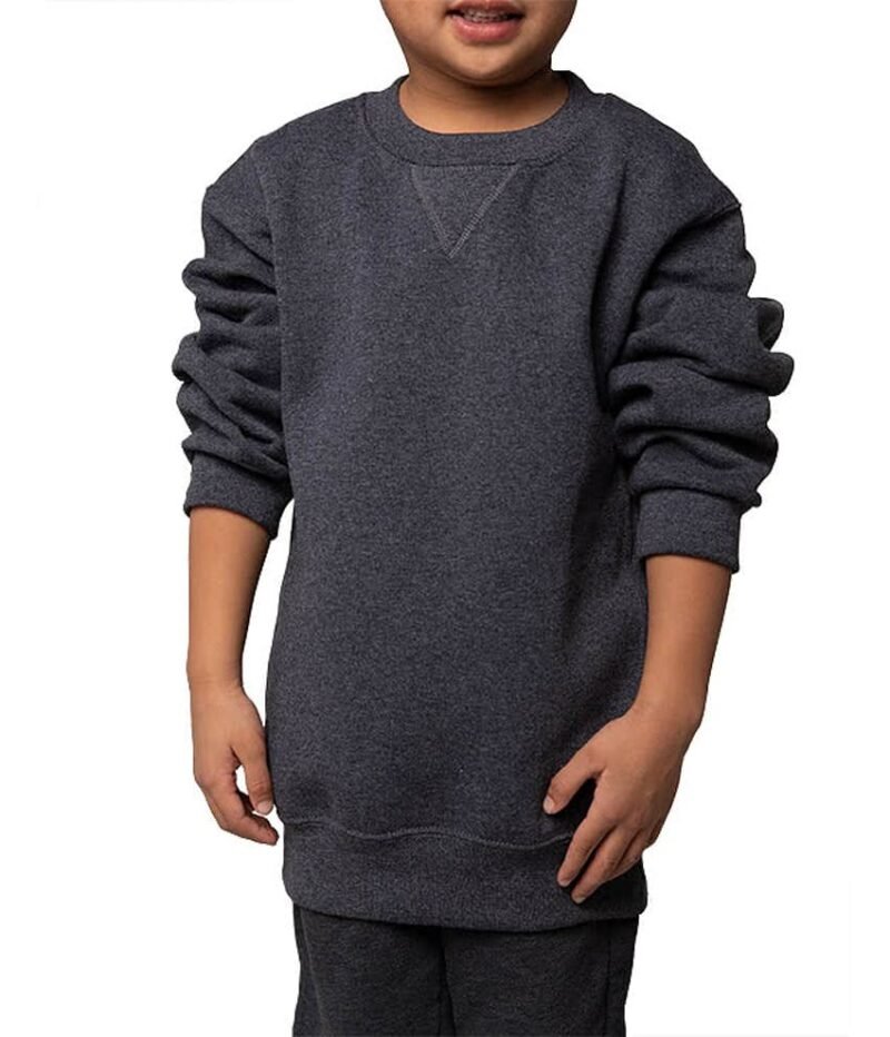 Boys Crewneck Sweatshirt